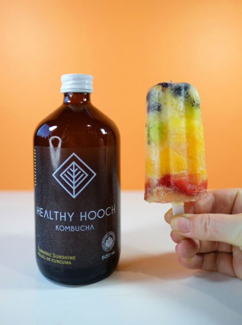Rainbow Kombucha Popsicles | Healthy Hooch Kombucha